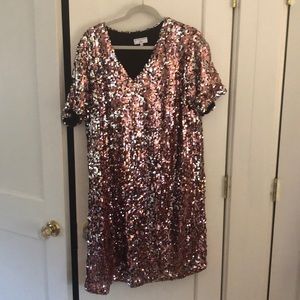 Universal Standard for J Crew sequin dress 2X 18